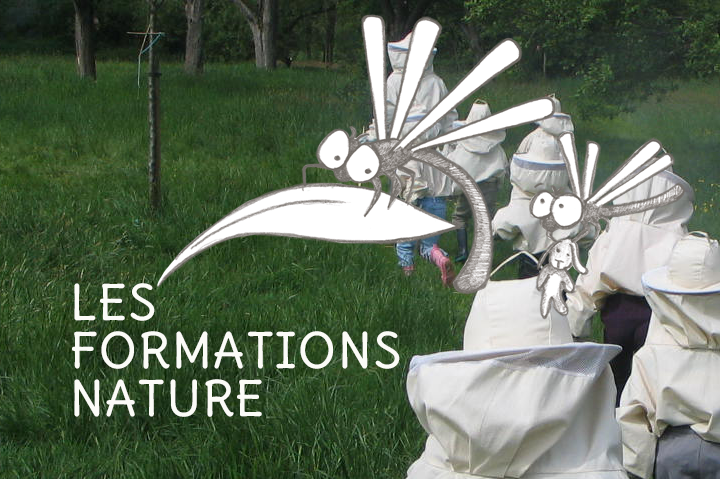 formation
